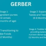 Gerber Organic Baby Food