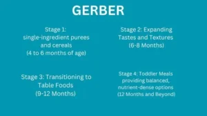 Gerber Organic Baby Food